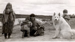 Пастушья собака оленеводов на берегу реки Полуй, притока Оби на северо-западе России в конце июля 1962 г.