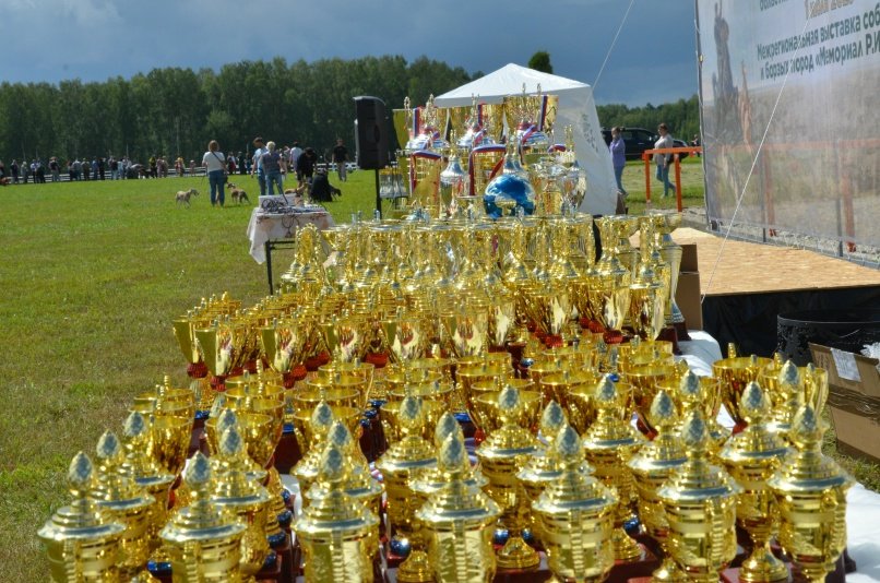 ETEzyNKVI6w.jpg?size=807x535&quality=95&