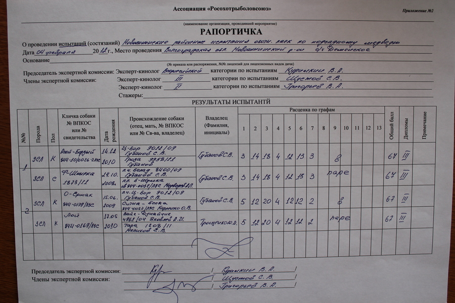 Рапортичка в школе образец