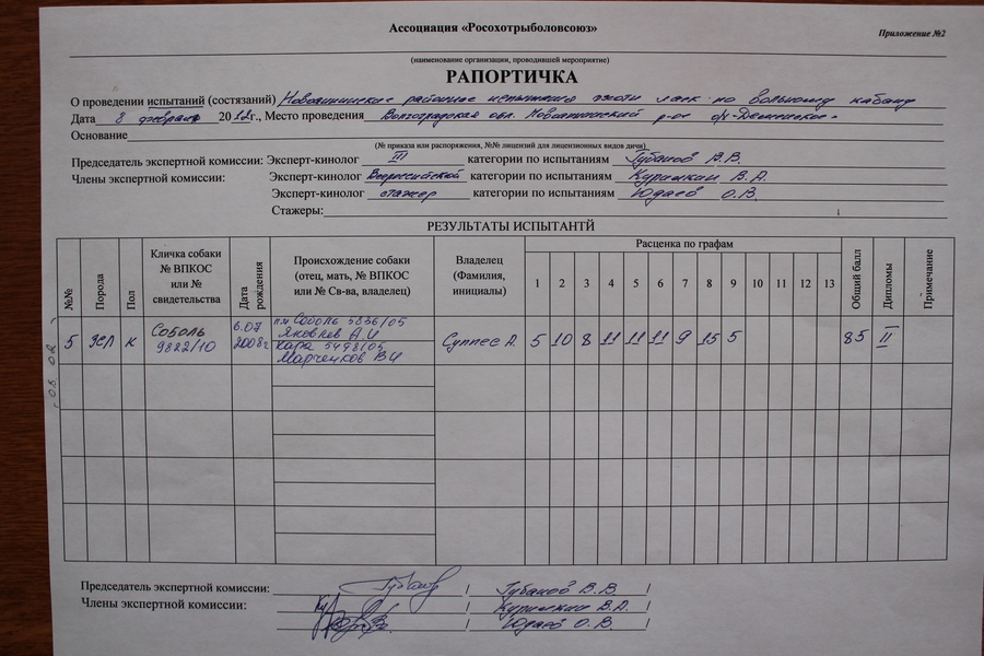 Рапортичка помощника машиниста образец