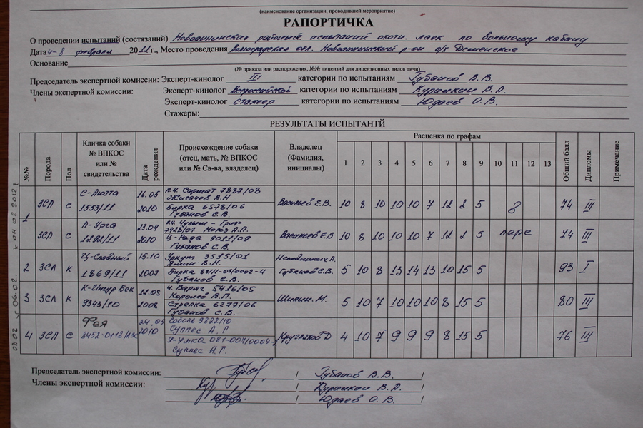 Кассовая рапортичка на билеты образец