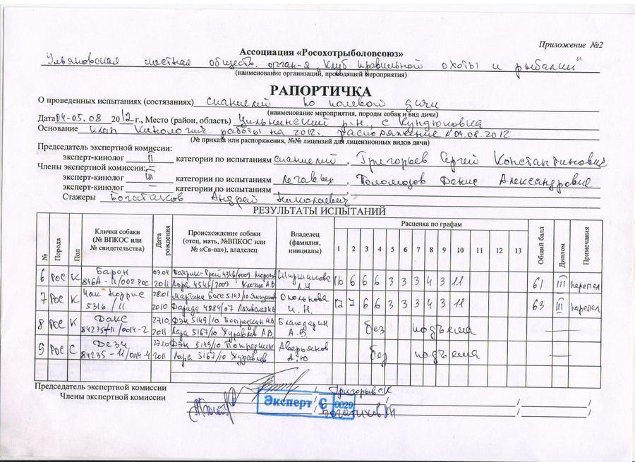 Образцы сменных рапортов