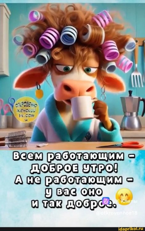 0fbdc52984a078b5ef9f8b858d6ffb5c167b7bf98a6a9d169d26715764a0128b_1.jpg.jpg