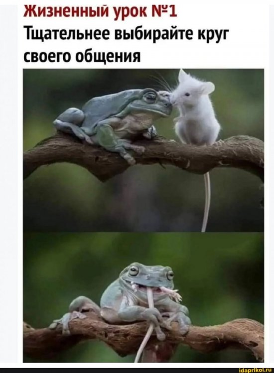 11cc4589cc5f1056c5e97d53743430b9923063683d387532ce01acfc4ad3a1a6_1.jpg.jpg