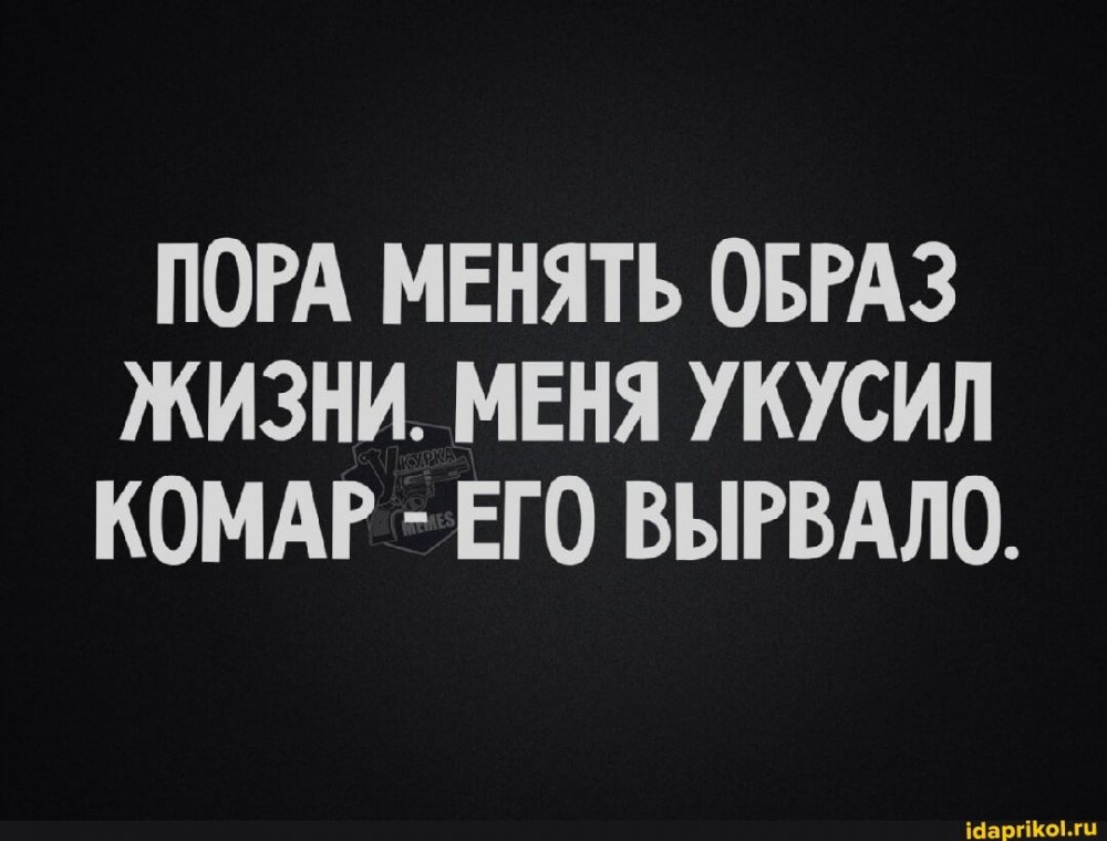 3a21e9ab64c1652fa82b0d3f6713117f5fa85c6ac576db5fcbe83a8dff53486e_1.jpg.jpg