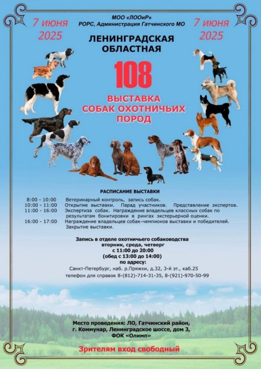 Изображение WhatsApp 2025-05-14 в 20.42.52_bc1199d5.jpg