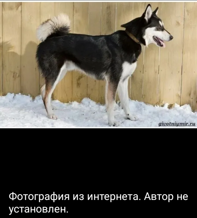 Screenshot_20250517-103625~2.png