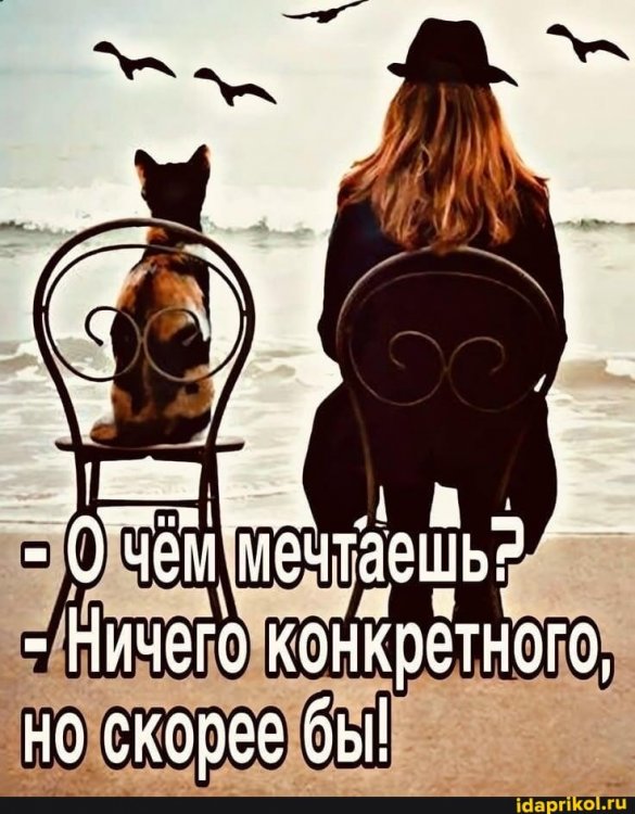 2cb303c3909c075e68f21c5cca8a9e4c1393466228ebfef9a59b357ac23b4a50_1.jpg.jpg