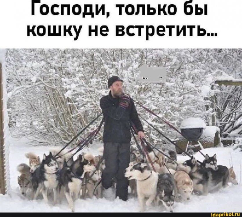 2ee18bb6239ebec6f49e6c32957c1b5e3e1a829753331a27c0c10ff303a891cf_1.jpg.jpg