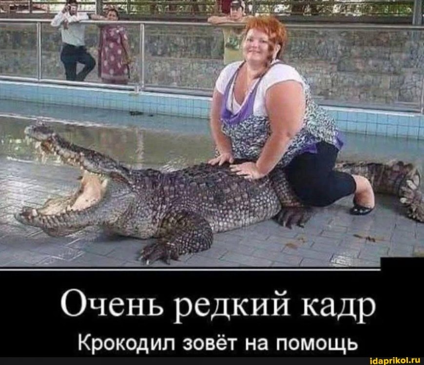 4d69411cb6d0cb25db8249b5962f449919f217a49260e45a21db0f6632b63461_1.jpg.jpg