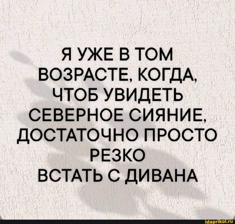 5abc5b10778f66816ada7af812067498cddb145e13512b6ac0e38cddaff16798_1.jpg.jpg