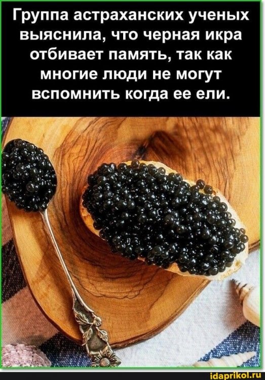 6428e0dfc50ce8158e15697805f17683f4e55a52d26f93acb624f188d105e598_1.jpg.jpg