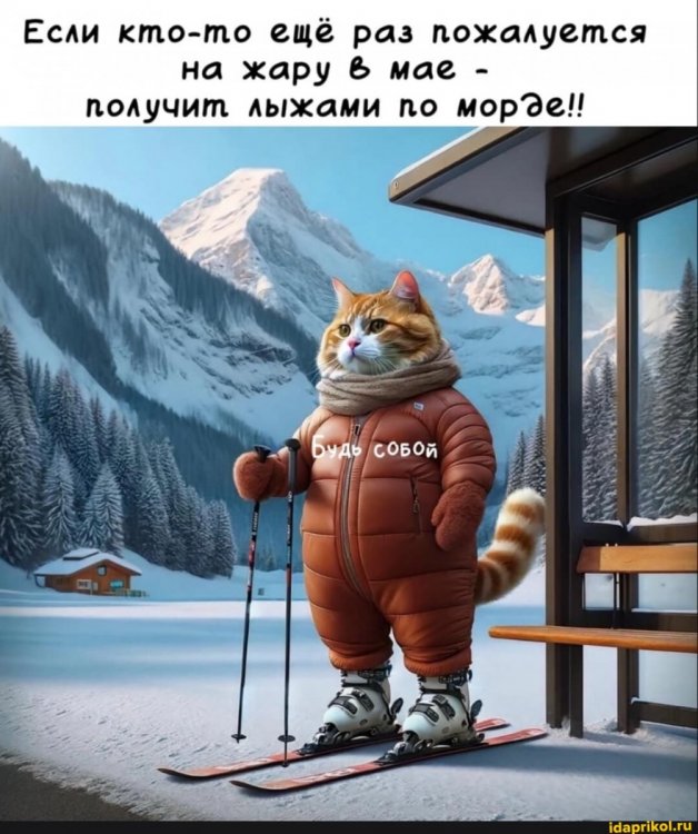 7291a40549db0f4f7f1fe06bcd6c98280f621420ec8c5d934506c32af004fcc1_1.jpg.jpg