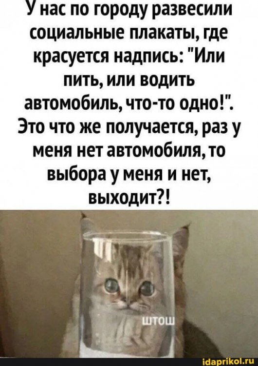 7f33c80cc2d5a1328a1738b30331350b24db57180508e4fff51957eae1a5491f_1.jpg.jpg