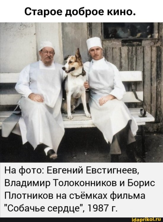 8c830f4f96c920393f801d134ecf5c47d7080baec23fccb44cc6c3b7a5ef792f_1.jpg.jpg