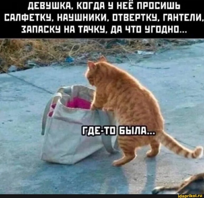 8ff2d747bd0d134a17dbb71174dd28f2ed79f4c915fdefcf54a2bc9424709182_1.jpg.jpg