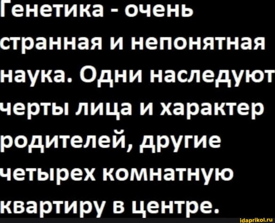 967756df8984bbdb7e6e39c8e0a9668f62d14cad69c9f170b5c0bebc1319fb34_1.jpg.jpg