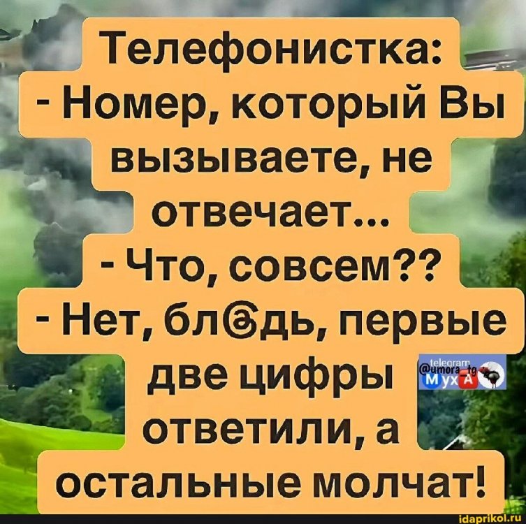 99da19828cb43274928a3c17a404f146b73fefdfc962a6cea2f13999e2611da4_1.jpg.jpg