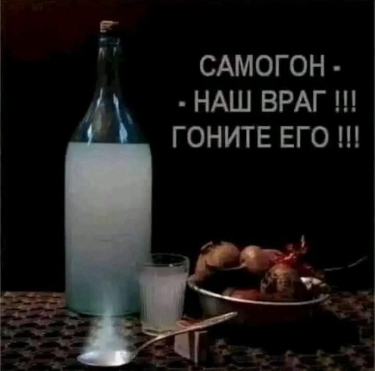 IMG-20250513-WA0007.jpg