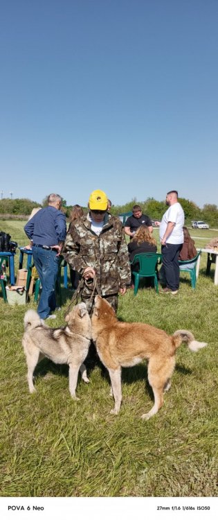 IMG_20250517_091528_851.jpg