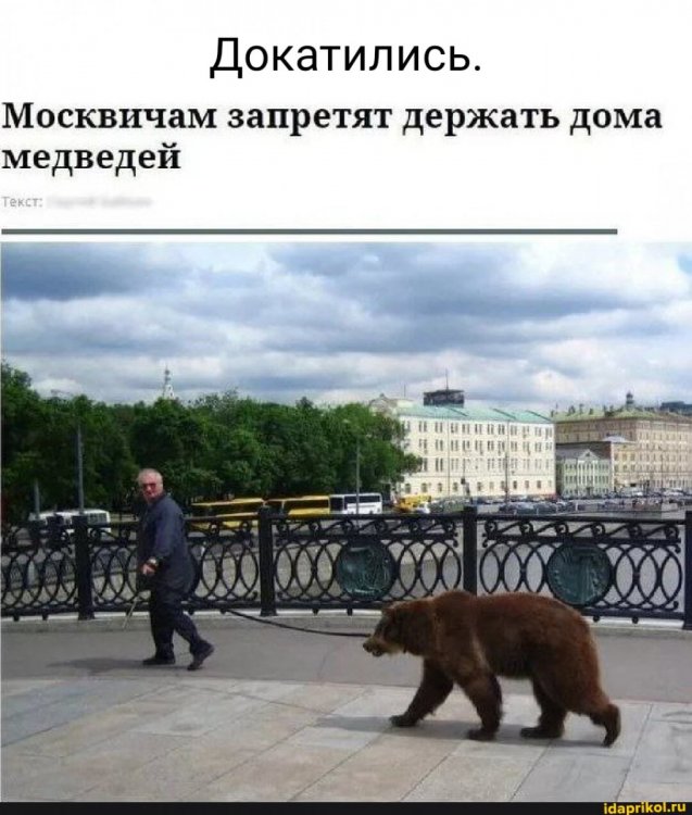 ab3045bd075d95ae2fbe1e4a6f7629fff9c0886be5eafb8ed0698f91f6dd69c3_1.jpg.jpg