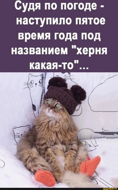 c67a81654f9463584cddc6a6ec9eb5460696c5daecf3a1aa6942e13a6416ec0d_1.jpg.jpg