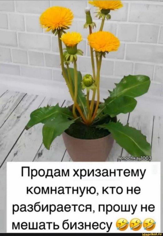 d801eb6c81ceeb8b715b7ceeeeb7ea197e328746d02a57ebc67314bcdf72b993_1.jpg.jpg