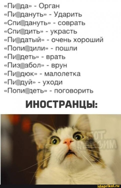 dd74b340cff8c4eb4ae22c2814e77a42fa00f2e06d4e6879968350818fe297ad_1.jpg.jpg
