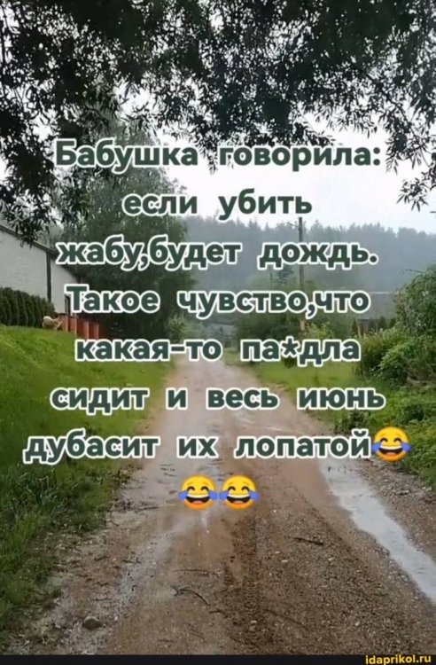 0851997f7000facbb86ece671aeaacda3c951bb25655c84dfe25a72d87952940_1.jpg.jpg