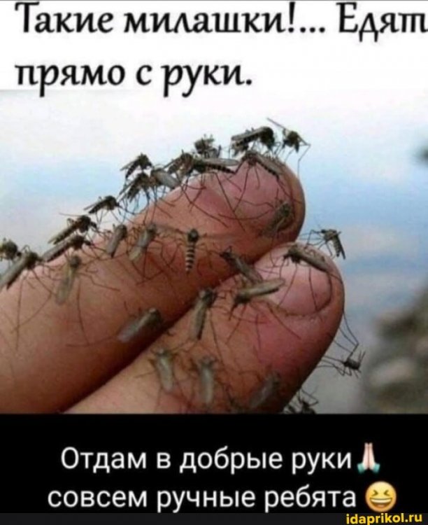 1380a00056b1f0ad6953610d0e415e35a7977191dad7a7e2a96fdcd7280f86f5_1.jpg.jpg