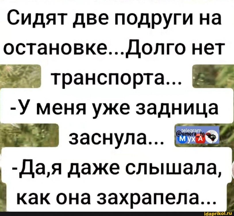 3d56eaeaadc5235547a1bd12f6570e2dfa9bc2abe6f3d80b248661f02d4eb3b6_1.jpg.jpg