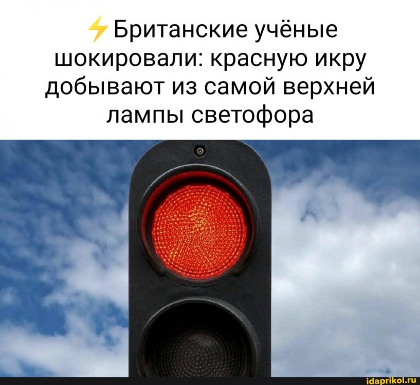 6c9be48dad4170eb0fc07794af7fef3b9dbec1ad47415d3564d2c48f83083e28_1.jpg.jpg