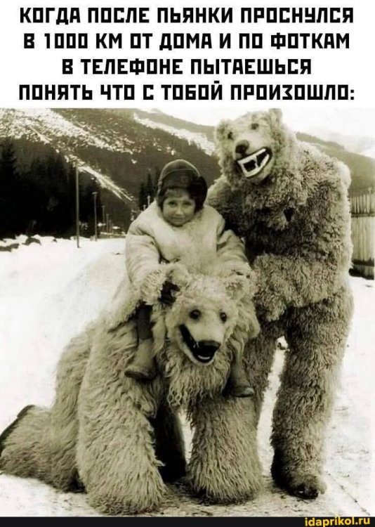 856f809773dac61714a536927b8473ed1c06b32697eac02c2a16b87d5d6462a2_1.jpg.jpg