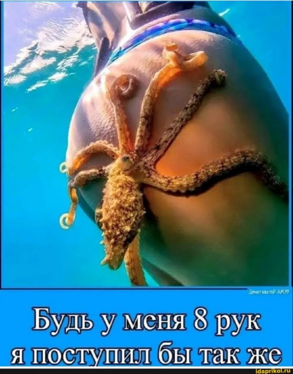 8a474619fb166d9398fcc125de379569d044c72ad9fa5ba1990f77db2383e26b_1.jpg.jpg