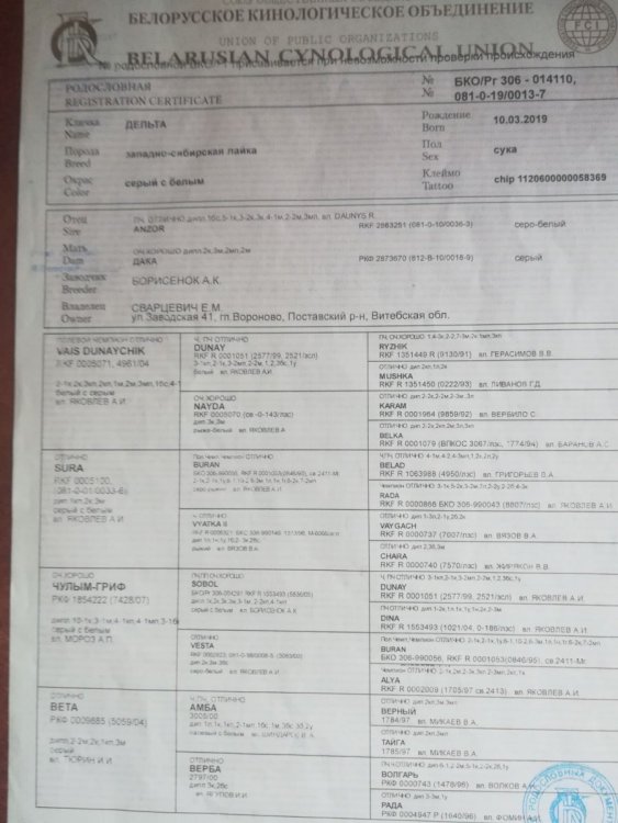 IMG-a1bcba0d6c848c19c5058f02acf22d36-V.jpg