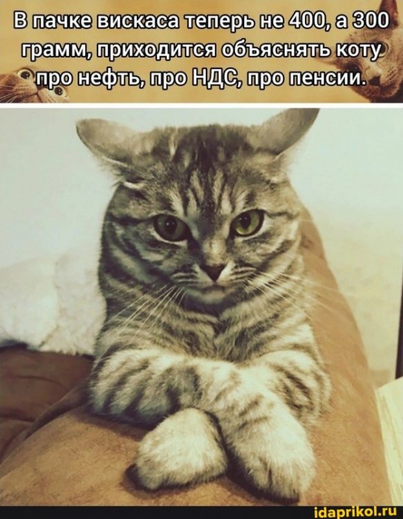 a6f559c9d726706694a2462d1dad75d9194569a96e6b45f05b59f7ec2c12799b_1.jpg.jpg