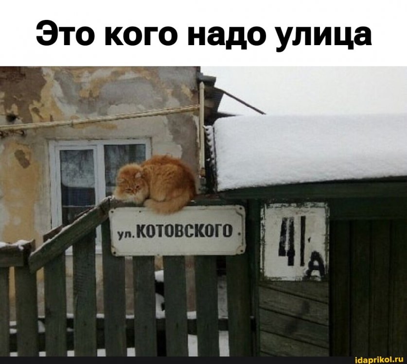 b446585f67f74d3393797a0d10c6b4f36c3d455a7f33dd2c47ac0219badc4726_1.jpg.jpg