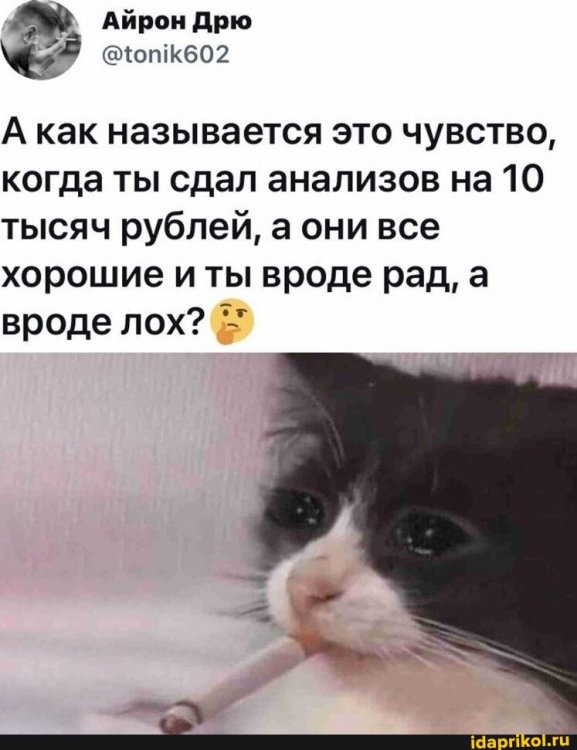 cfc3eb8a58fe88796a3de1930264c07dd2471160989937d9b389622713ddf5bc_1.jpg.jpg