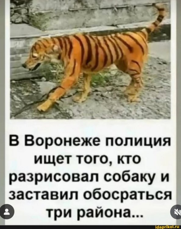 d1c20d0b8c50ef69e549235a568df2a8c51aaecf75367c5835bbedd83b77abf8_1.jpg.jpg