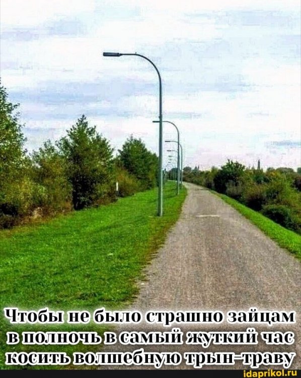 0e49233f6bff2ce10d891f6564e095e7f18aa5bcb1057487dff641fb2d4d35e2_1.jpg.jpg