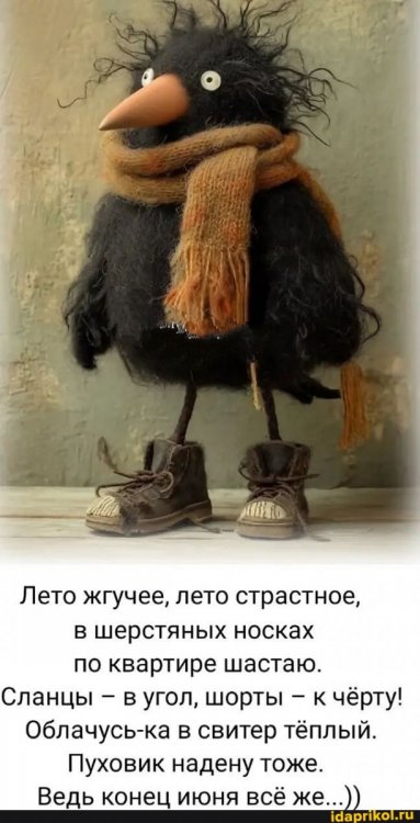 0ecc30cd87550abd172bded28a099f6ec306df64d5a43392bfdc35ff4c7dd6dc_1.jpg.jpg