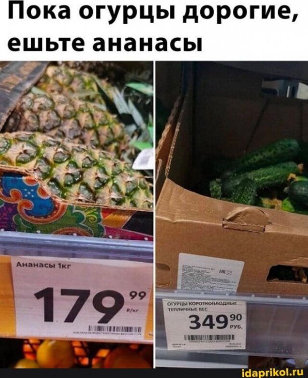559c0fee3b78689e2db6af37986264cd3629738da6a905eafdc9a2529bfa9bd5_1.jpg.jpg