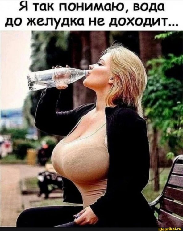 63b72bcbafd537f2e089c1bada38ff24b3669ea16a4849a28d5659bd80bdb43b_1.jpg.jpg