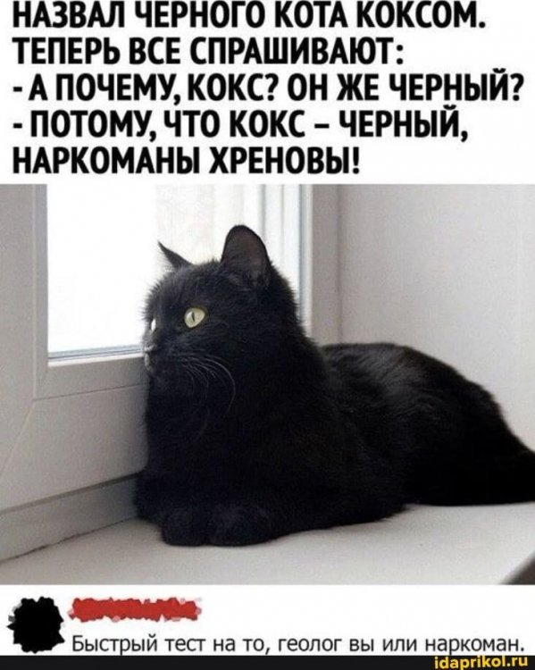 7860ee3f088b3a12ef6d888d28fbf9c6d88fd6a8a3b20427ab8424d027966a52_1.jpg.jpg