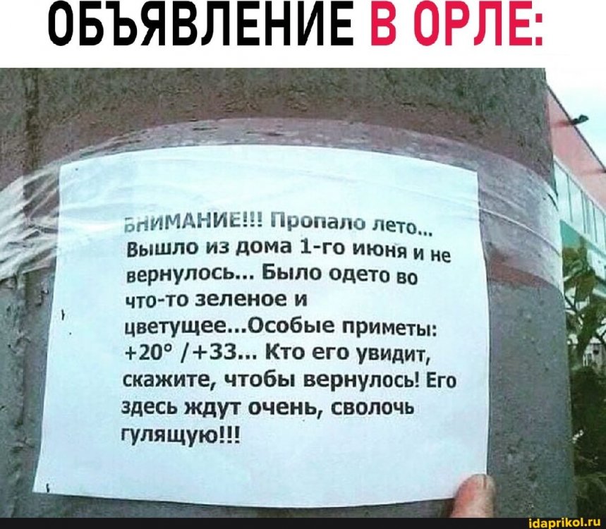 8b71e537730adb2bc0f46f774dd23006af45486b50046ac3b34ef2d949c40301_1.jpg.jpg