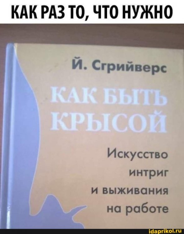 ab897d67e125128e6c2f4754a8e5544baf3087c1b630752088c9b074a4b6f7eb_1.jpg.jpg