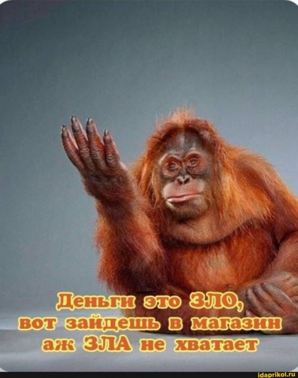 adfe5cb6e50233e301725e870cd5a9c3eb1b7dd35af56fa8c37a6bce5333c7a1_1.jpg.jpg