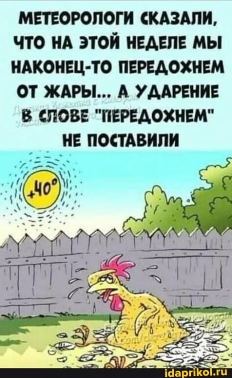 e78b247df3a3bef57d0d964aaf2c6b073fd34f87e408afb728f92be506e34d19_1.jpg.jpg