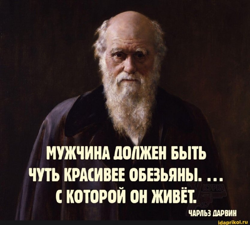 202599a1fd679382d3fd4f0d971e7cb06e96d026e305c79dfc9aab921a9cac14_1.jpg.jpg