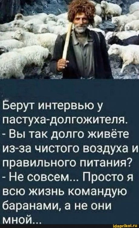 2a4703ce953f412d82d66027d6ad662439bd29b2d019a31303784c8d0bcd8c25_1.jpg.jpg